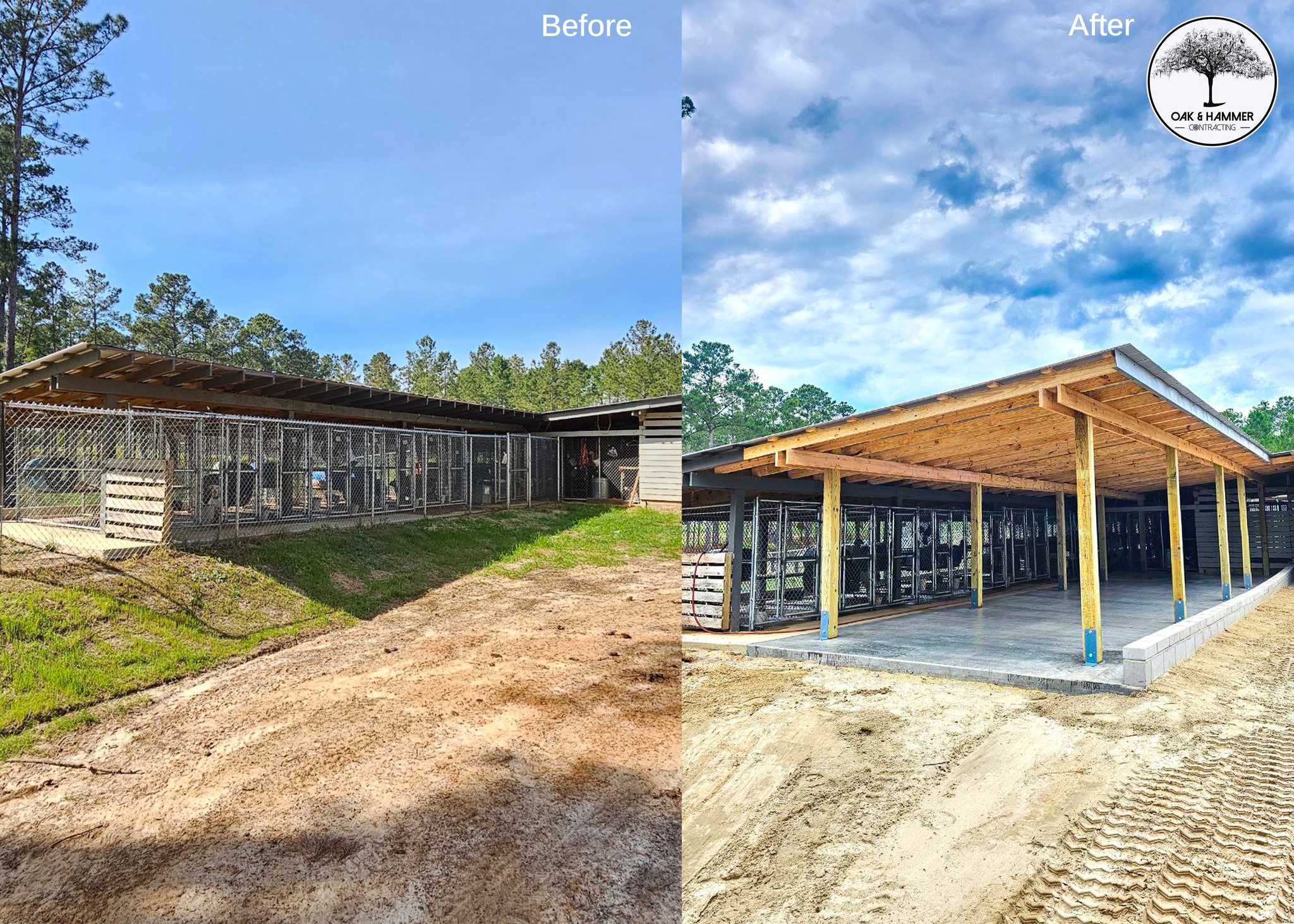 Renovation Dog Kennels